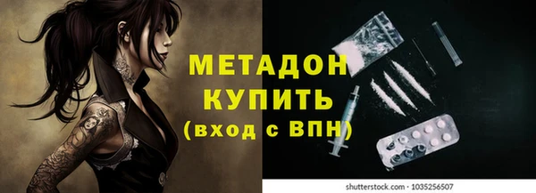 прущие грибы Верхний Тагил