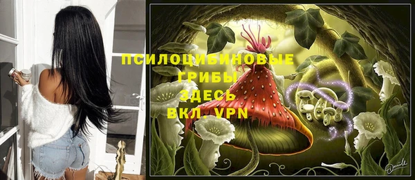 ешки Володарск