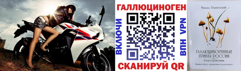 Галлюциногенные грибы Cubensis  Ветлуга 